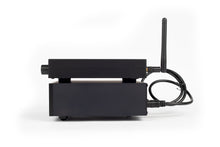 Load image into Gallery viewer, CH-Amp Signature + Free Eagle Dongle