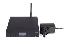 Load image into Gallery viewer, EarMen Tradutto - Pre-Order Now! - EarMen